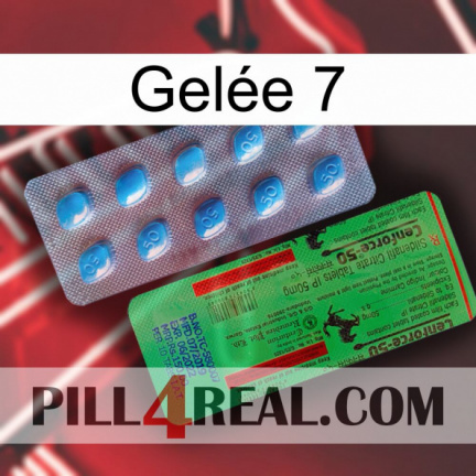 Gelée 7 new03